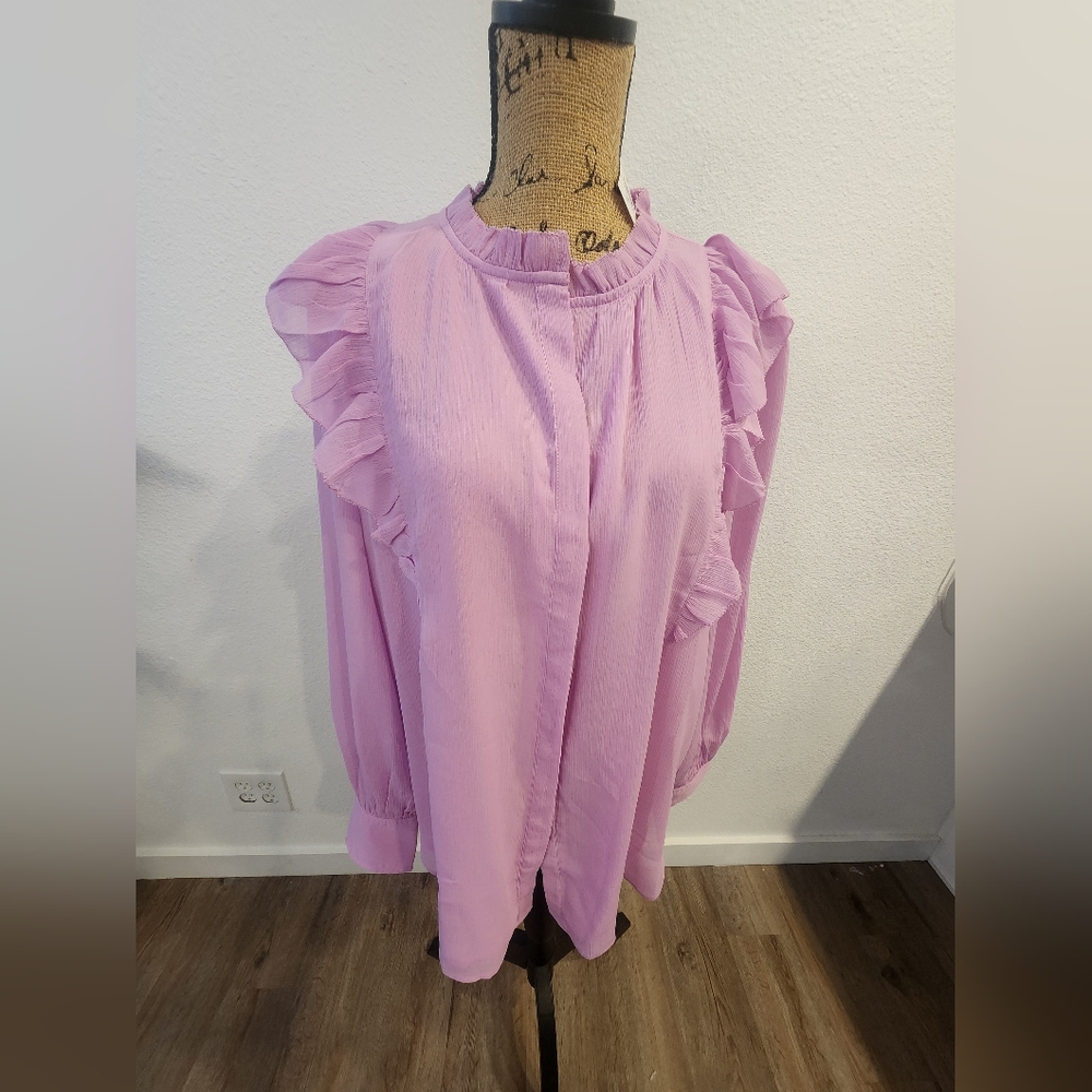 NWT Ann Taylor Sheer Flounce Blouse 👚